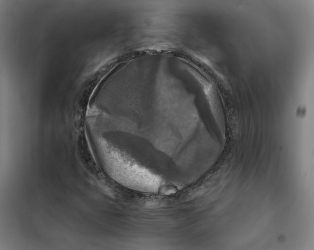 X0000101411399200808041053