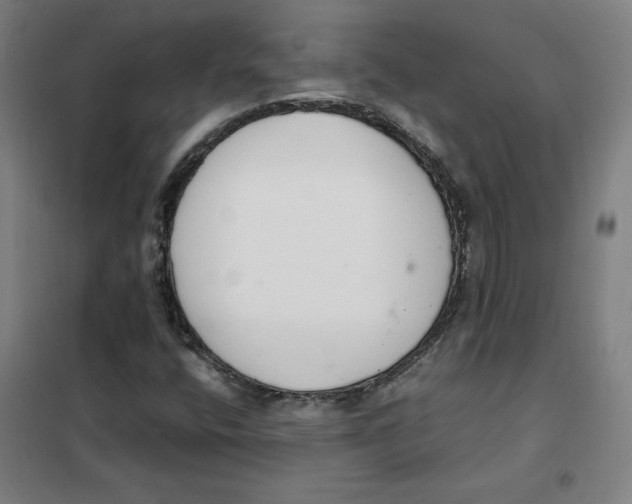 X0000101411400200808041053