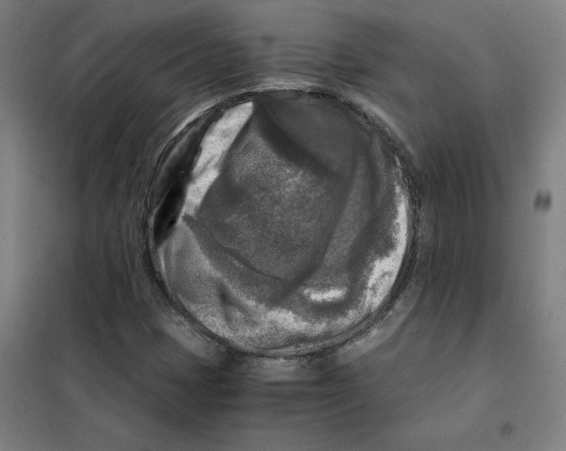 X0000101411401200808041053