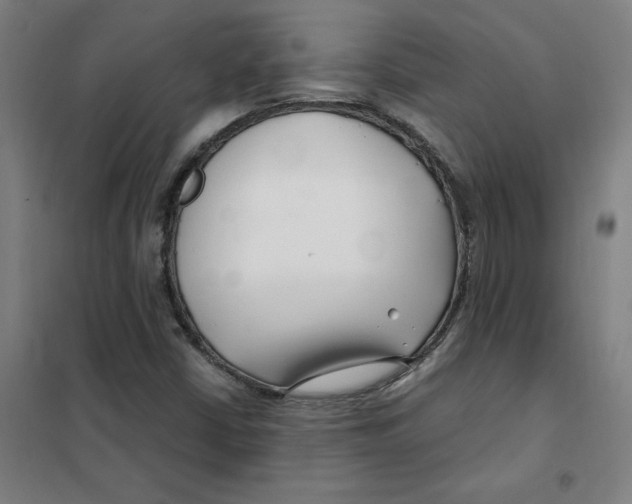 X0000101411402200808041053