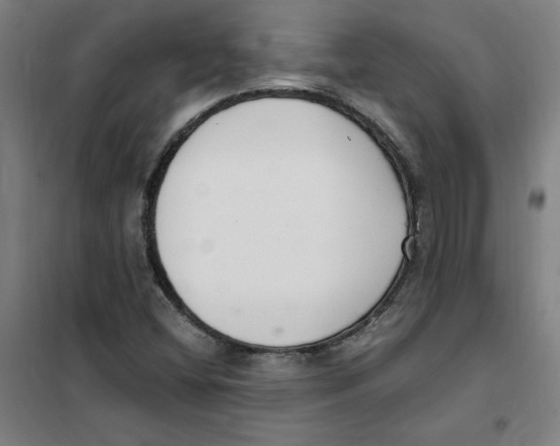 X0000101411404200808041053