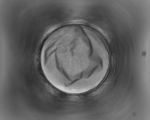 X0000101411405200808041053