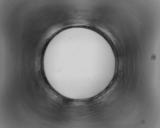 X0000101411407200808041053