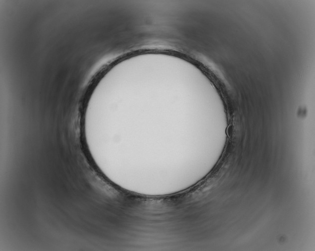 X0000101411408200808041053