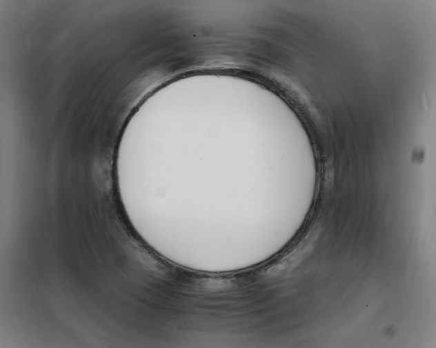 X0000101411409200808041053