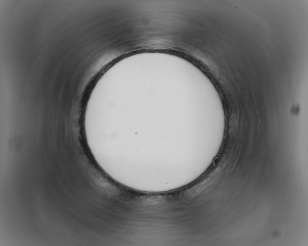 X0000101411410200808041053