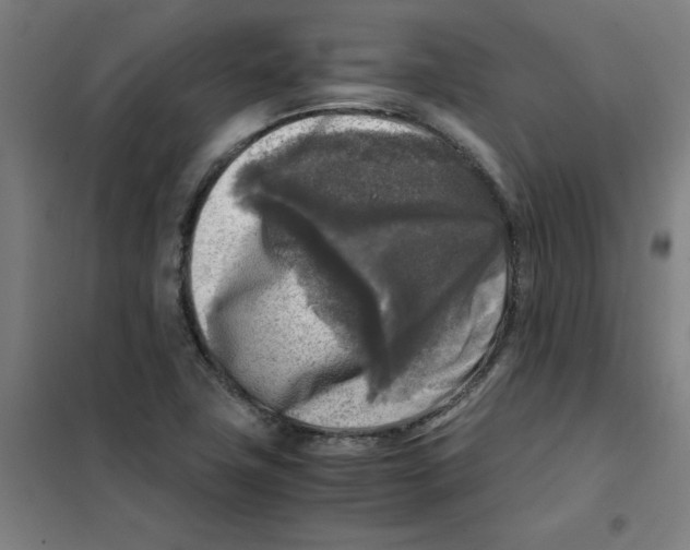 X0000101411411200808041053