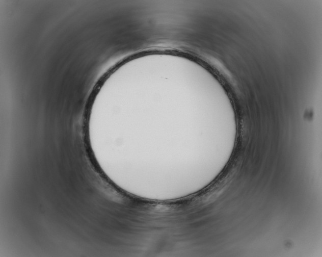X0000101411412200808041053