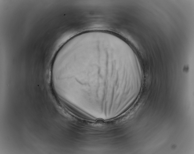 X0000101411413200808041053