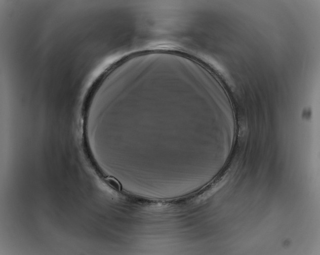 X0000101411414200808041053