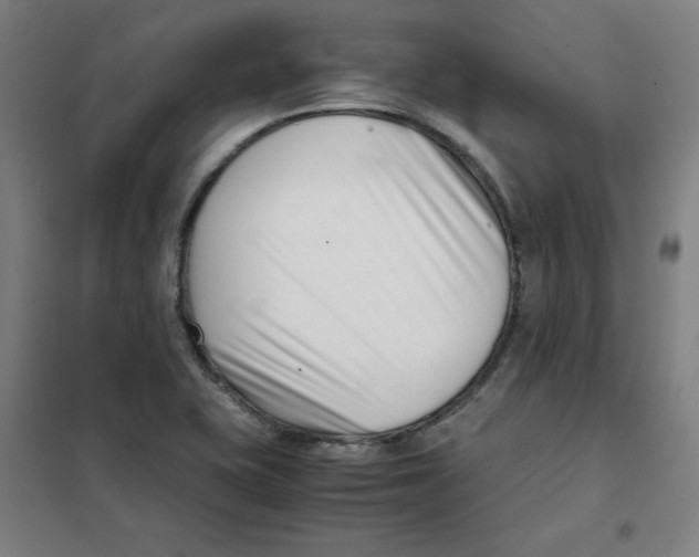 X0000101411415200808041053