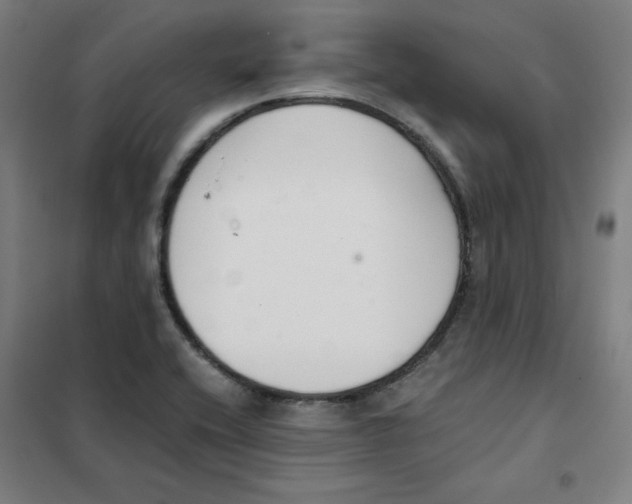 X0000101411416200808041054