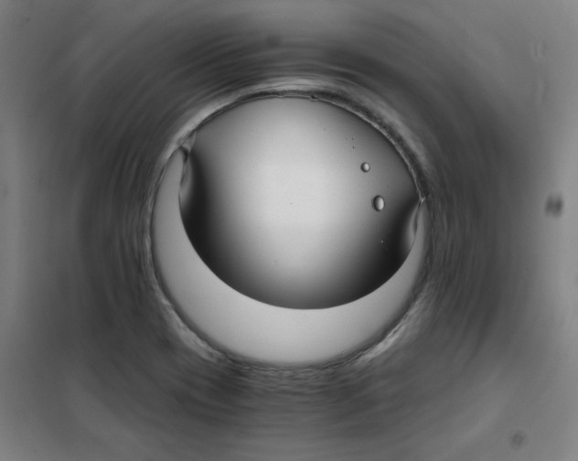 X0000101411417200808041054