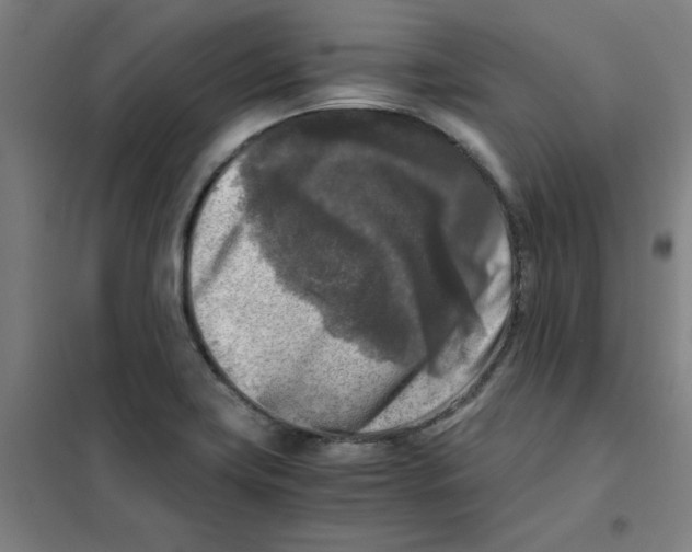 X0000101411419200808041054