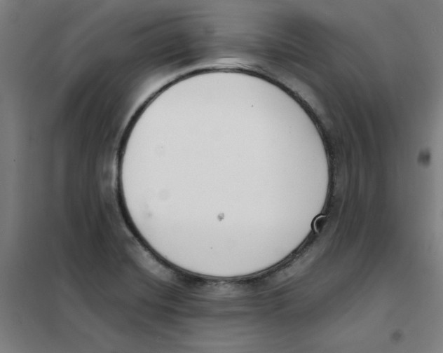 X0000101411420200808041054