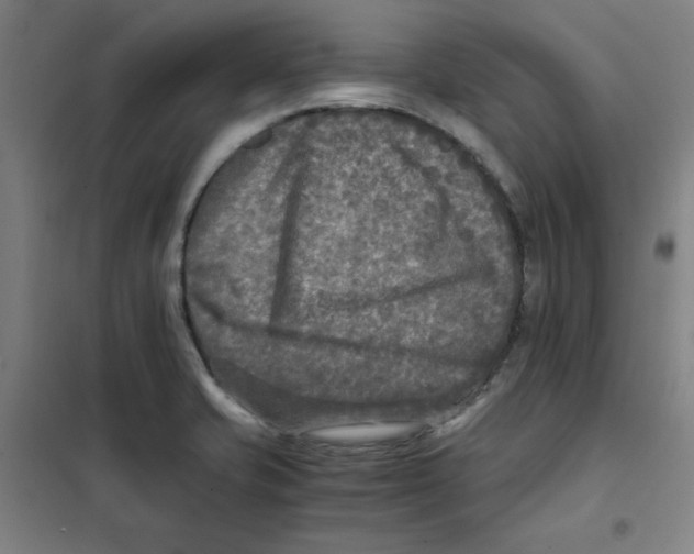 X0000101411421200808041054