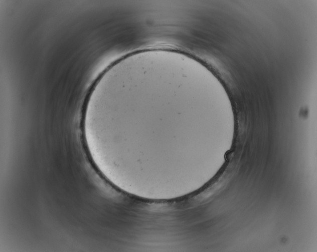X0000101411422200808041054