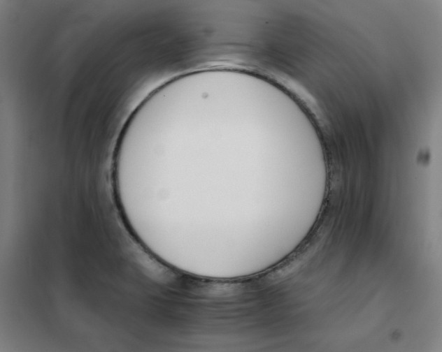 X0000101411423200808041054