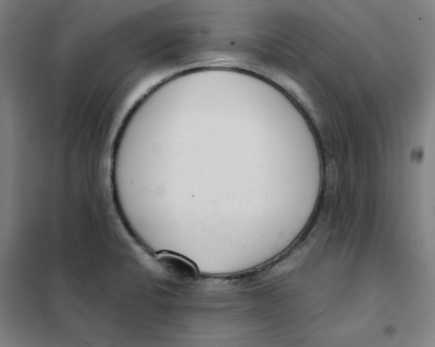 X0000101411424200808041054