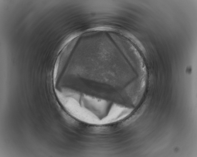 X0000101411425200808041054