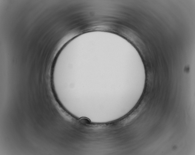 X0000101411426200808041054