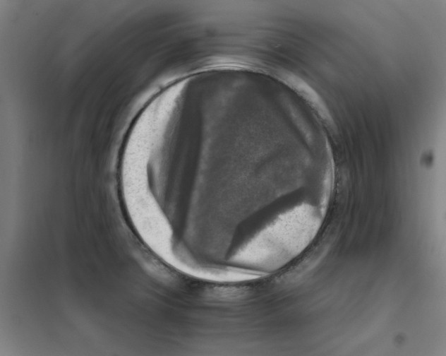 X0000101411427200808041054