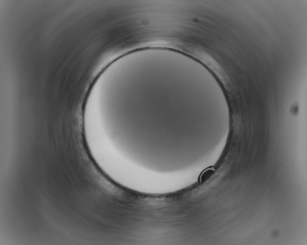 X0000101411428200808041054