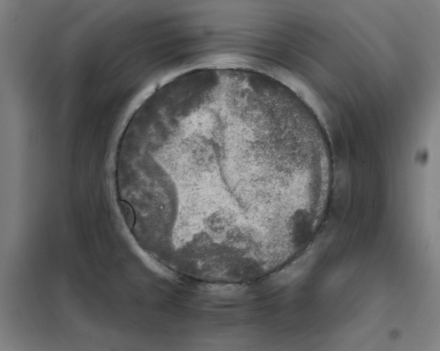 X0000101411429200808041054