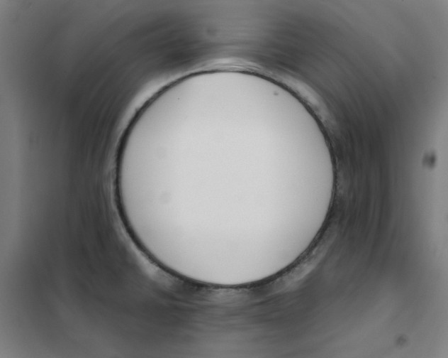 X0000101411430200808041054