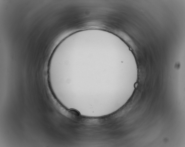X0000101411431200808041054