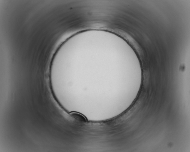 X0000101411432200808041054