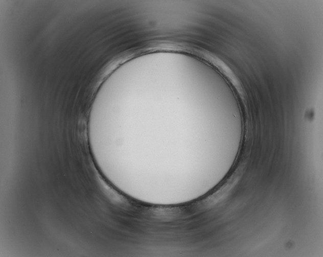 X0000101411433200808041054