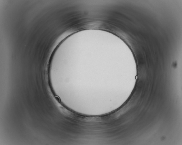 X0000101411434200808041054