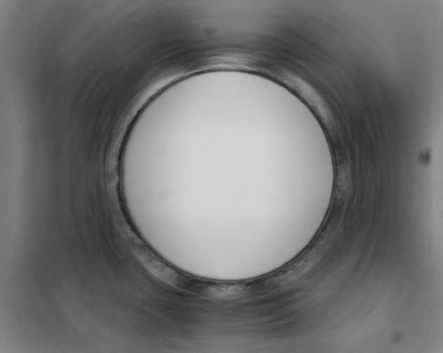 X0000101411435200808041054