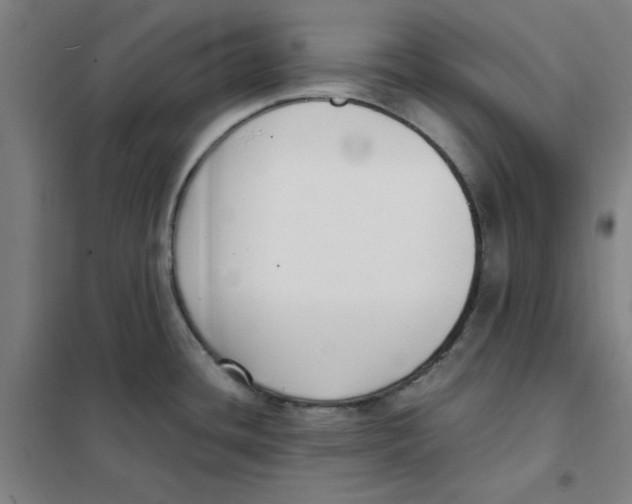 X0000101411436200808041054