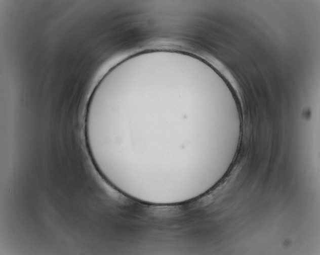 X0000101411437200808041054