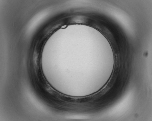 X0000101411438200808041054