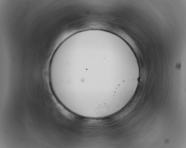 X0000101411439200808041054