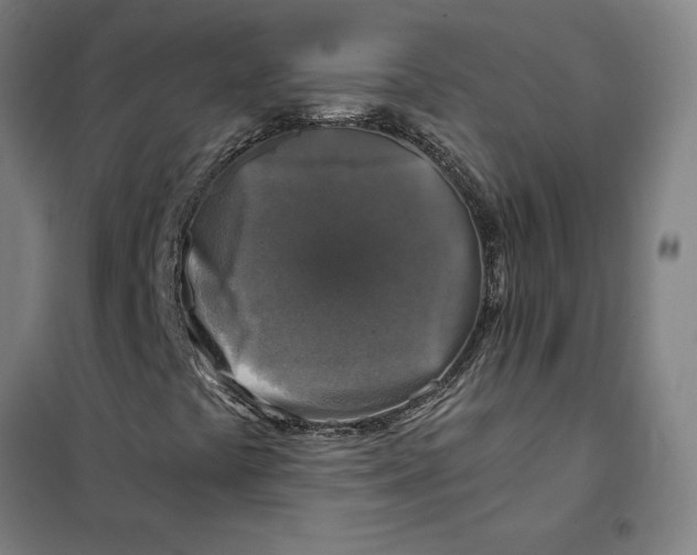 X0000101411441200808041053