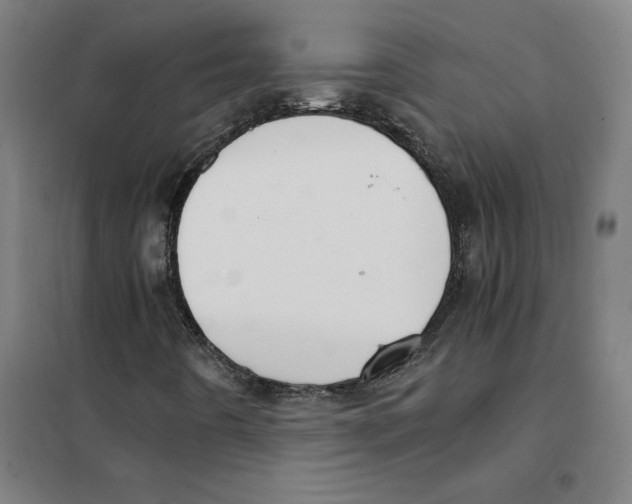 X0000101411442200808041053