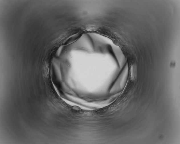 X0000101411443200808041053