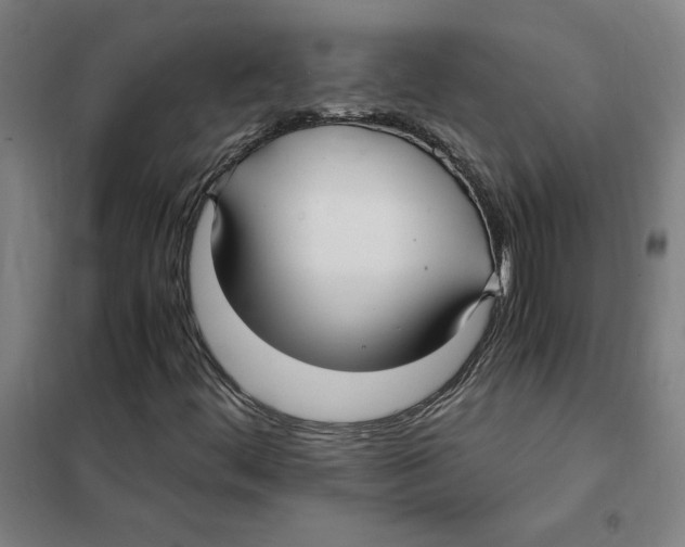 X0000101411444200808041053