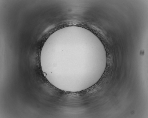 X0000101411446200808041053