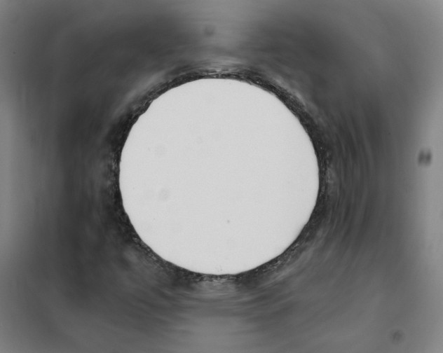 X0000101411447200808041053