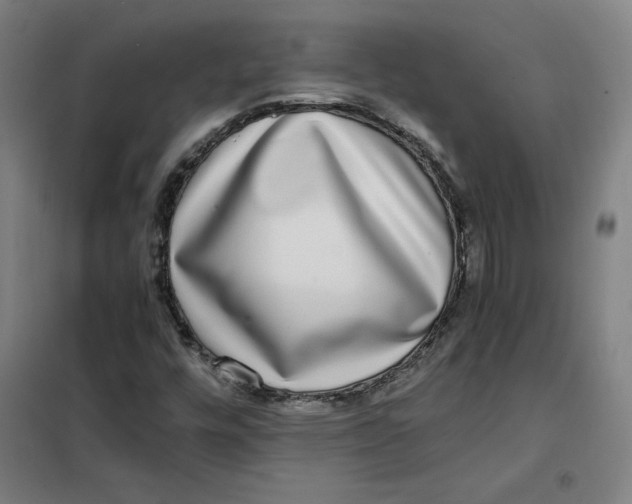 X0000101411448200808041053