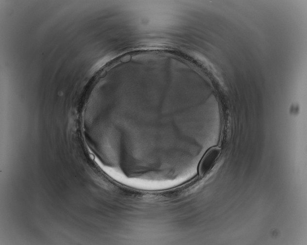 X0000101411449200808041053