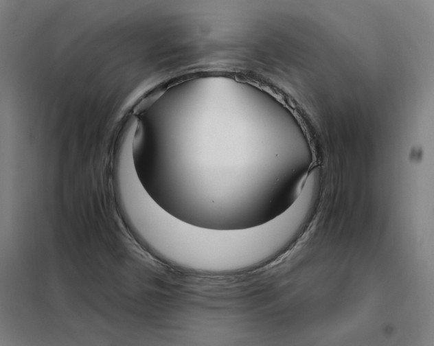 X0000101411450200808041053