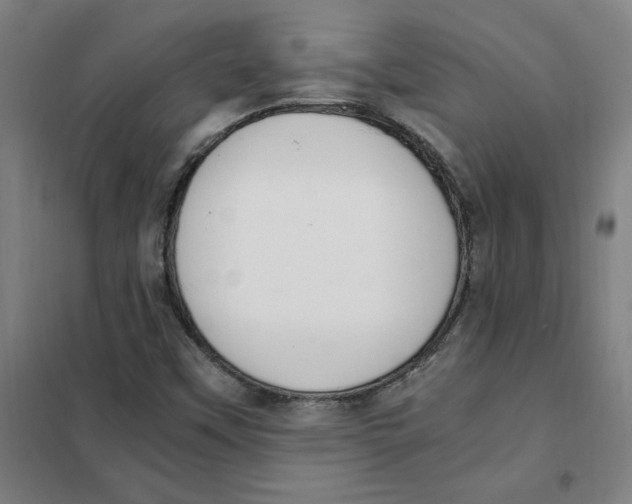 X0000101411451200808041053