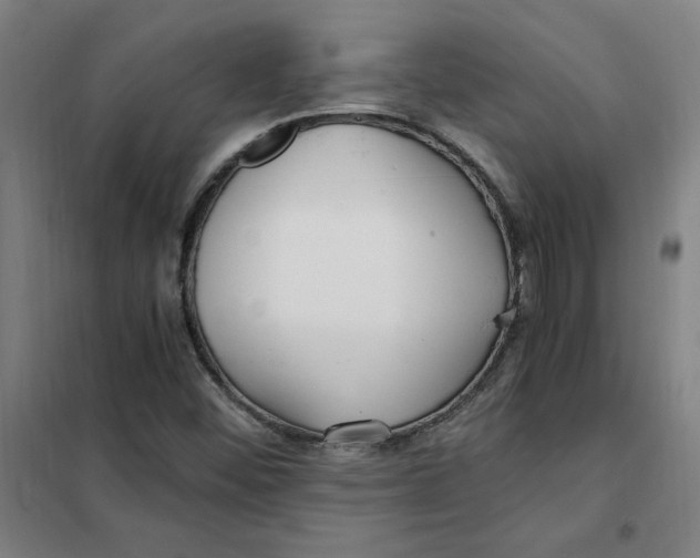 X0000101411452200808041053