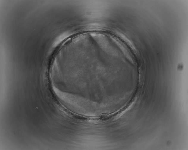 X0000101411453200808041053